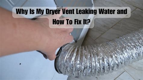 dryer vent leaking water|Top Causes of Leaking Dryer Vents & What To Do。